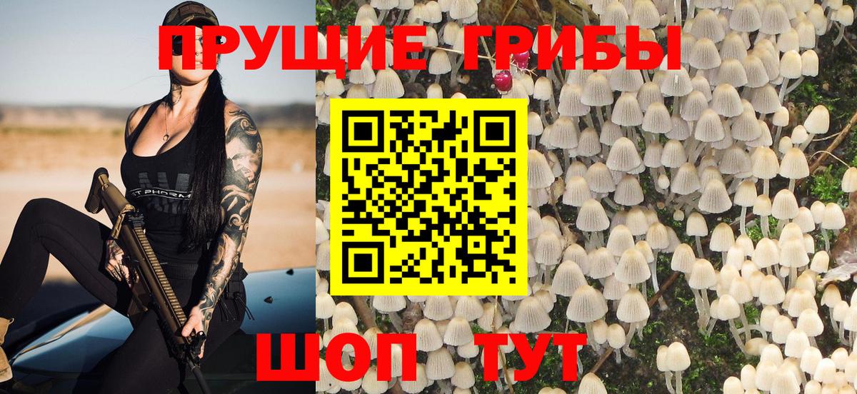 Волгоград  Псилоцибиновые грибы GOLDEN TEACHER  Вход с VPN  Псилоцибиновые грибы ЛСД 
